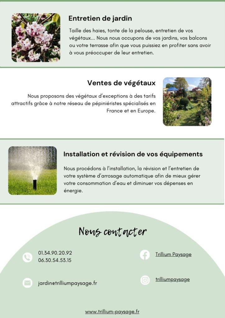 création d'un document de présentation pour une entreprise