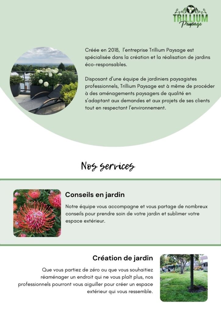 création d'un document de présentation